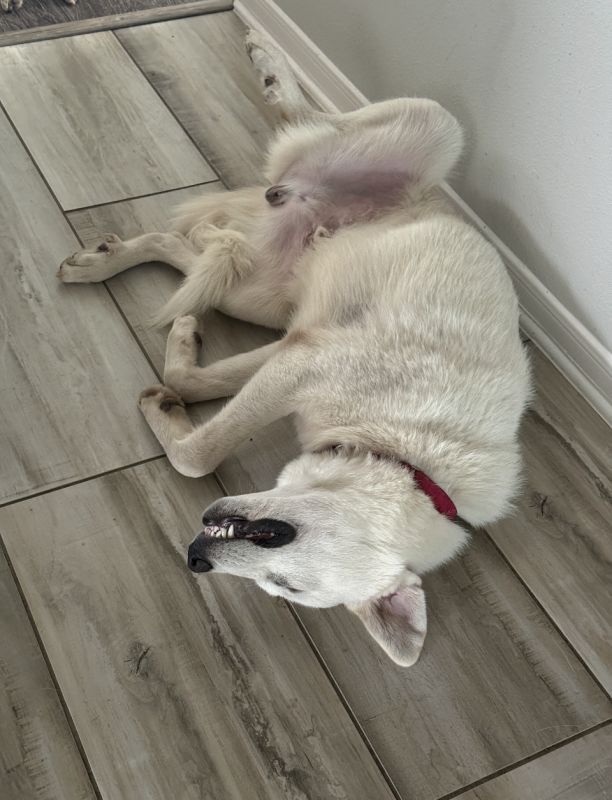 Casper
