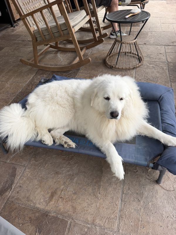 Lumi