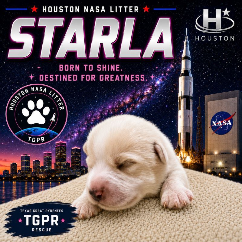 Starla