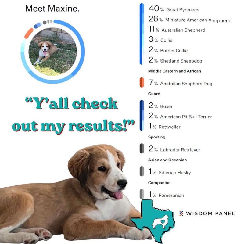 Maxine