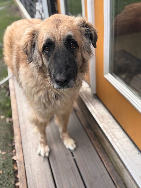 Alma