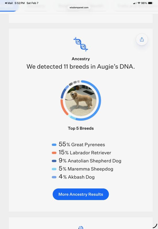 Augustus “Augie”