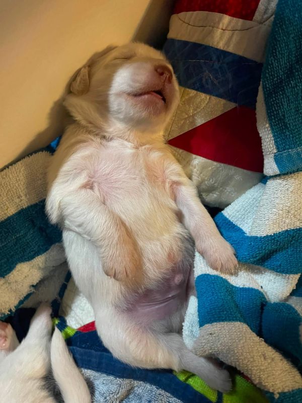 Spike
