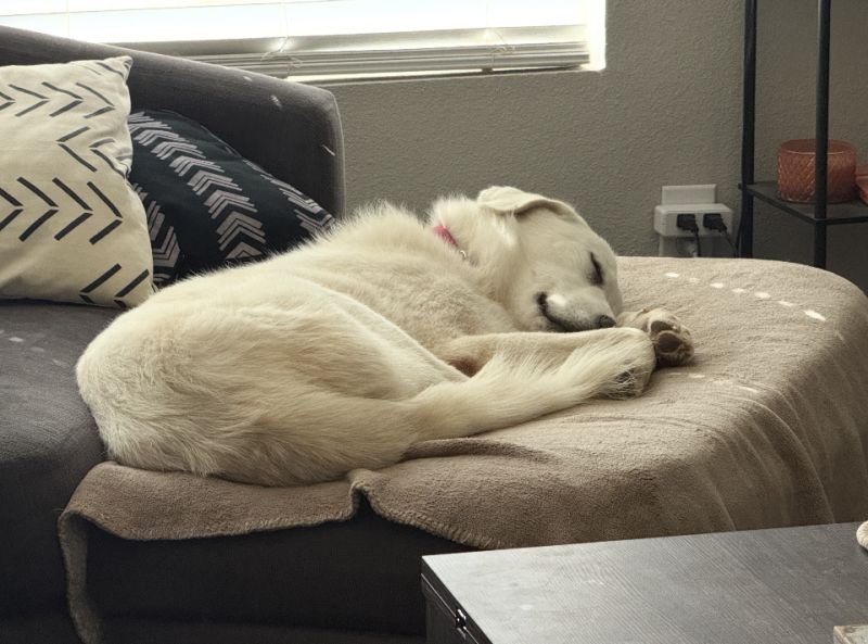 Casper