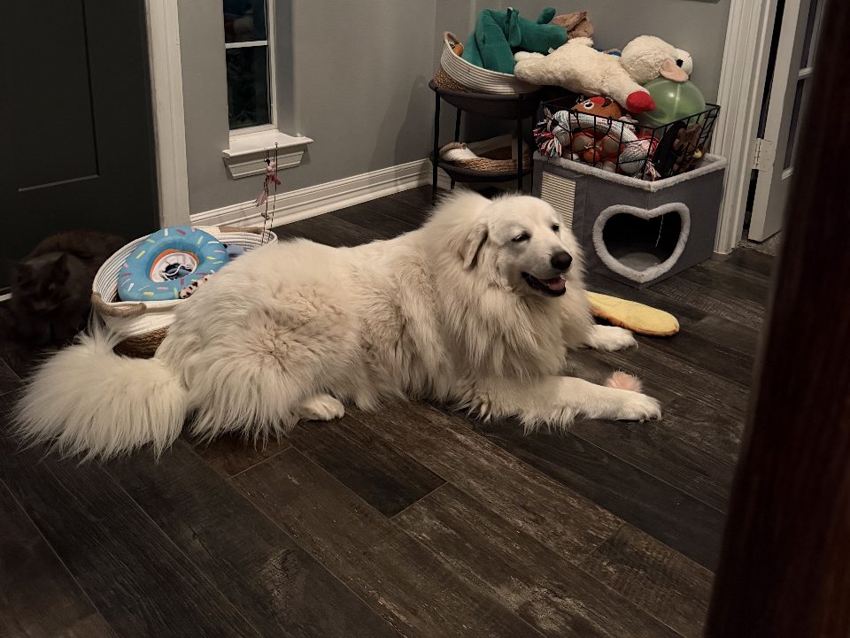 Lumi