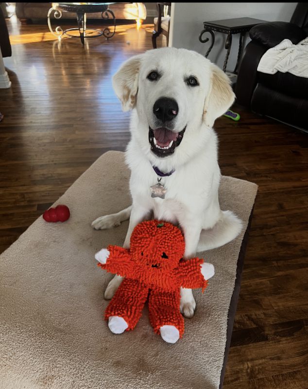 Pippa
