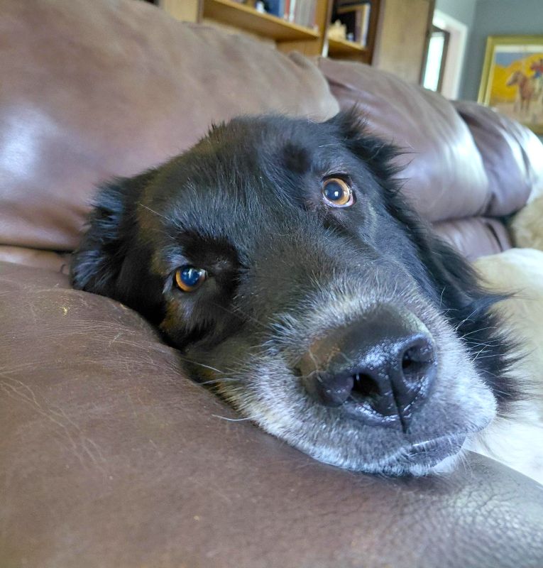 Libby