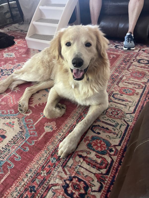 Augustus “Augie”