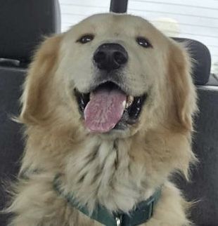Augustus “Augie”