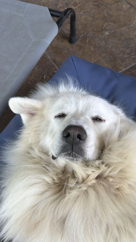 Lumi