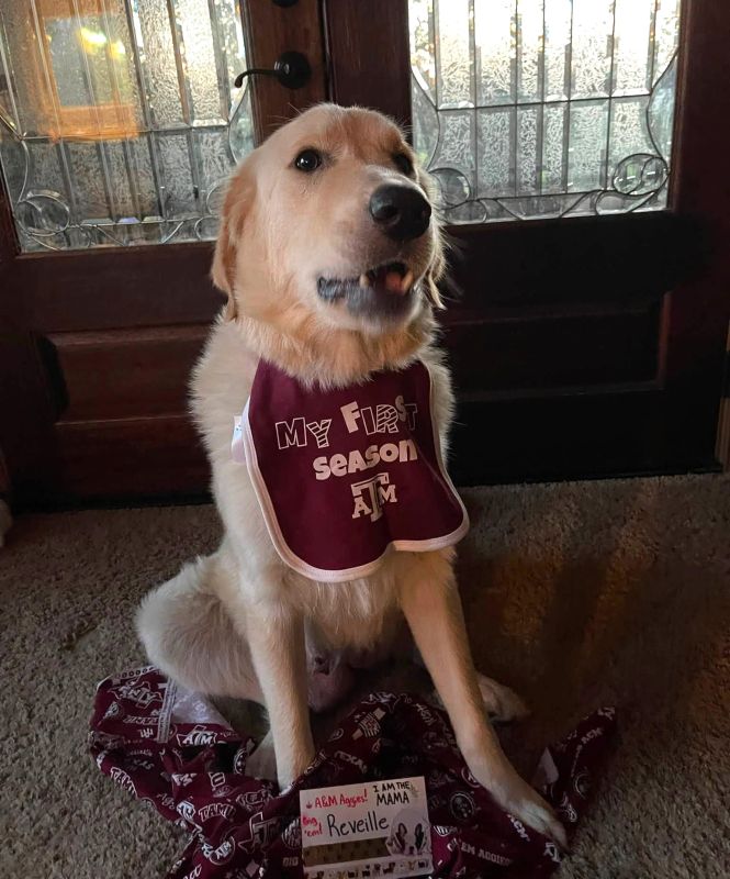 Reveille